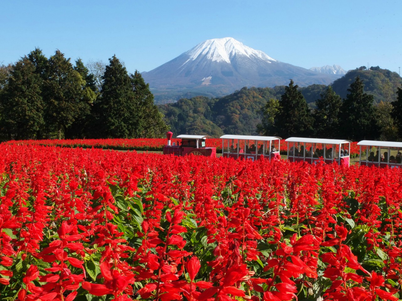 Tottori Prefectural Flower Park